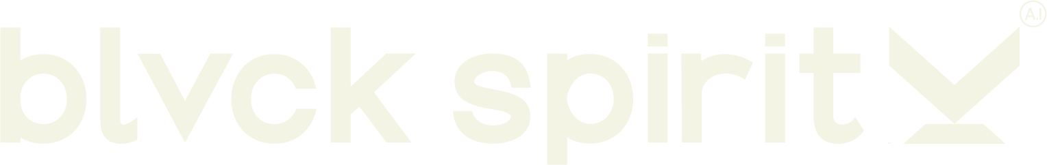 logo-bs-h
